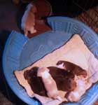 Starz Puppies All Week 4 picture 2
